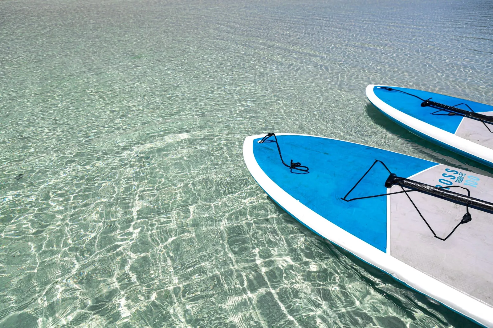 The tips of two SUP boards floating in clear shallow water