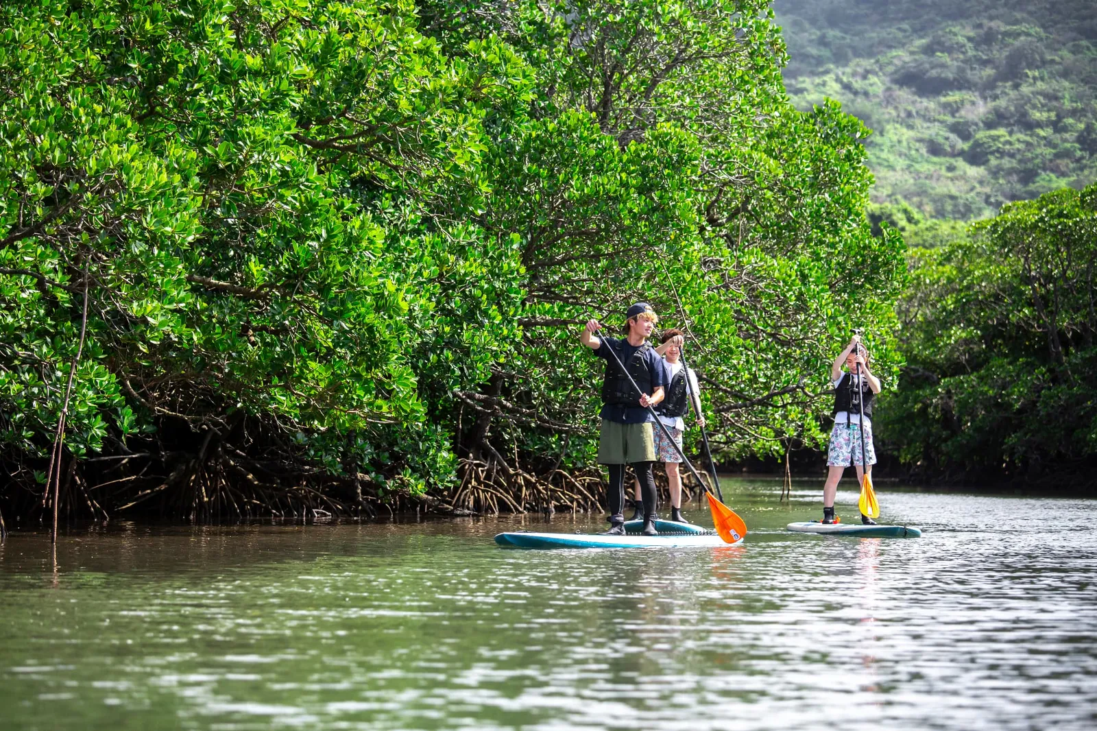 Three people paddling SUP boards along a mangrove-lined river with mountains in the background