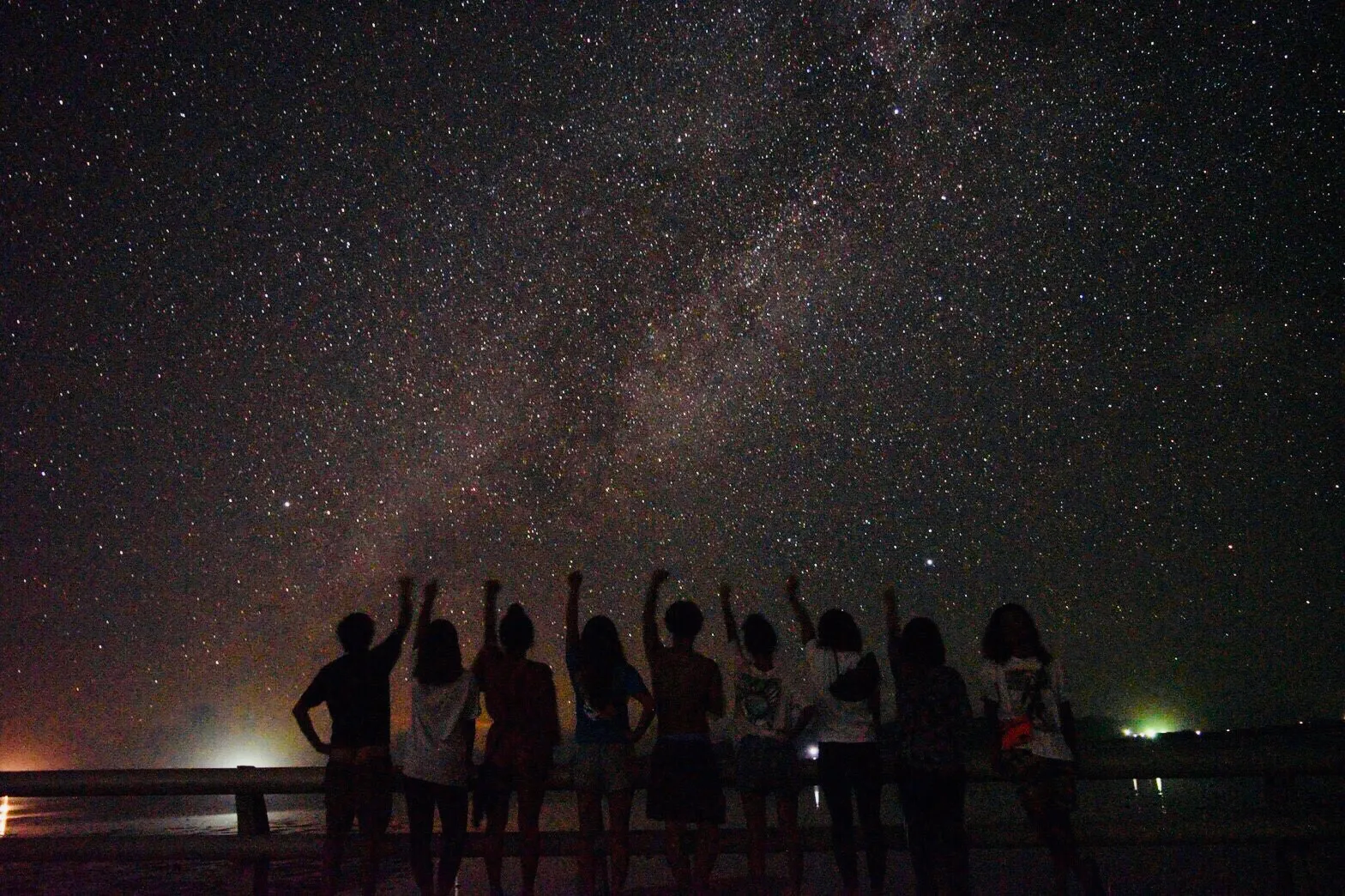 石垣島の星空&ジャングルナイトツアー|ガイドと夜の生き物探し