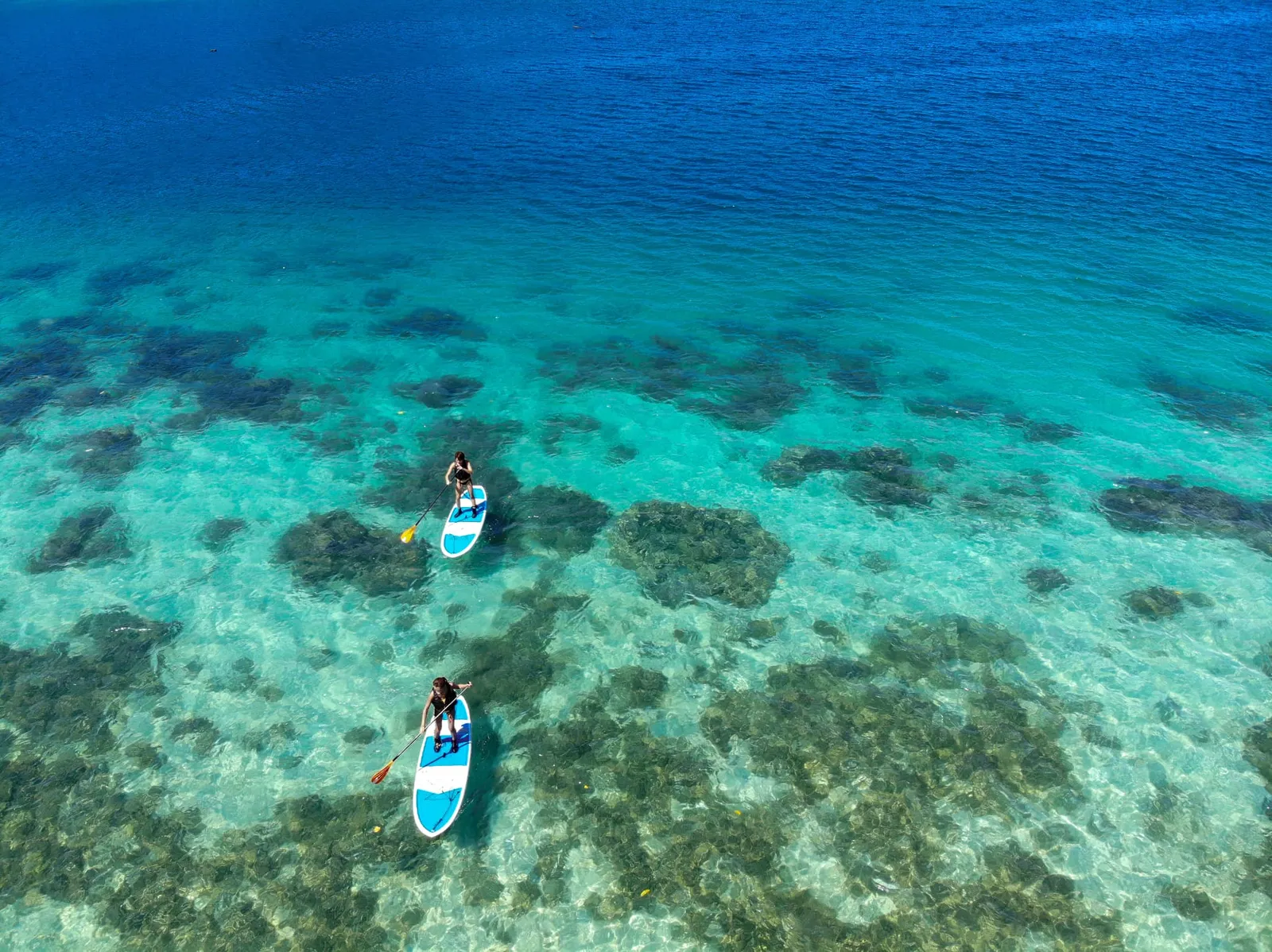石垣島・川平湾でSUP・カヌー体験|川平ブルーを楽しむ半日ツアー