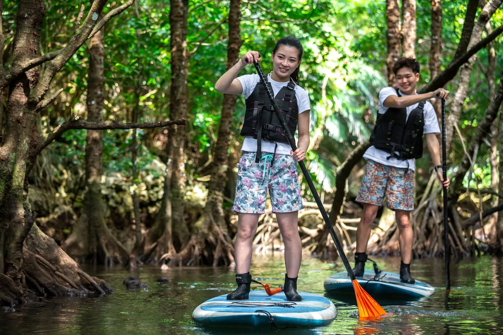 A man and a woman standing on SUP boards and paddling along a river through mangrove forest