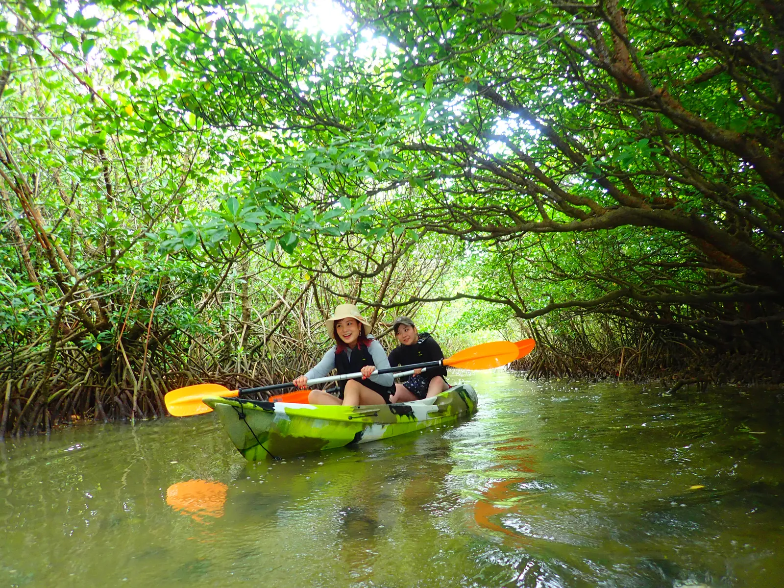 Two women paddling a canoe along a river covered by a tunnel of mangrove branches