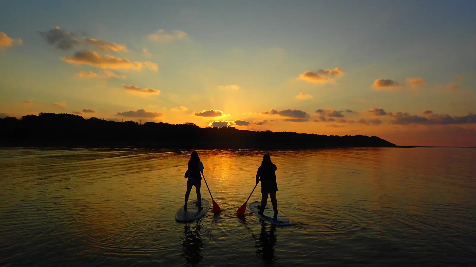 The backs of two people paddling SUPs side by side on a river glowing with dawn