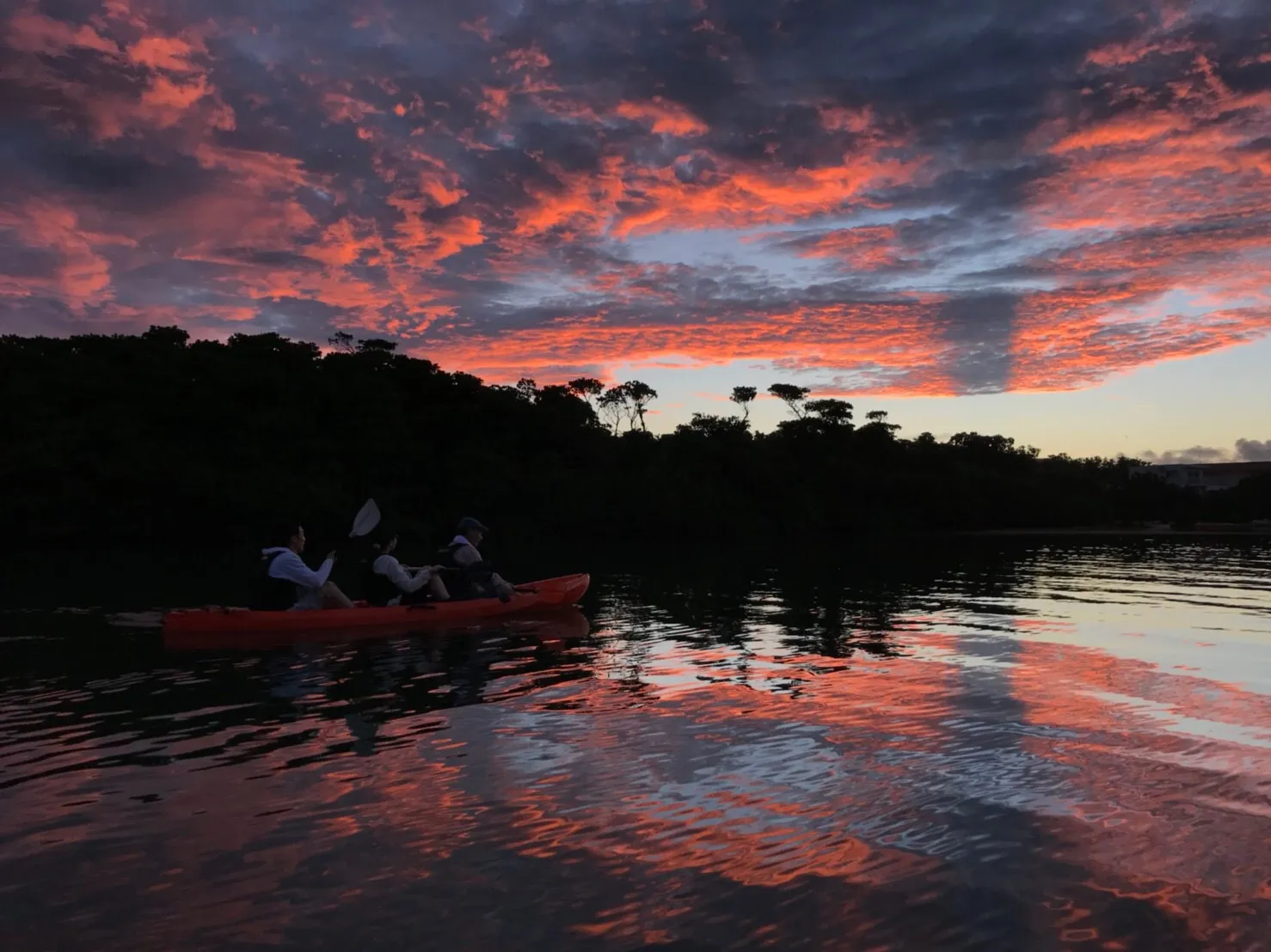 A three-person canoe gliding along the mangroves under a red-tinged sky
