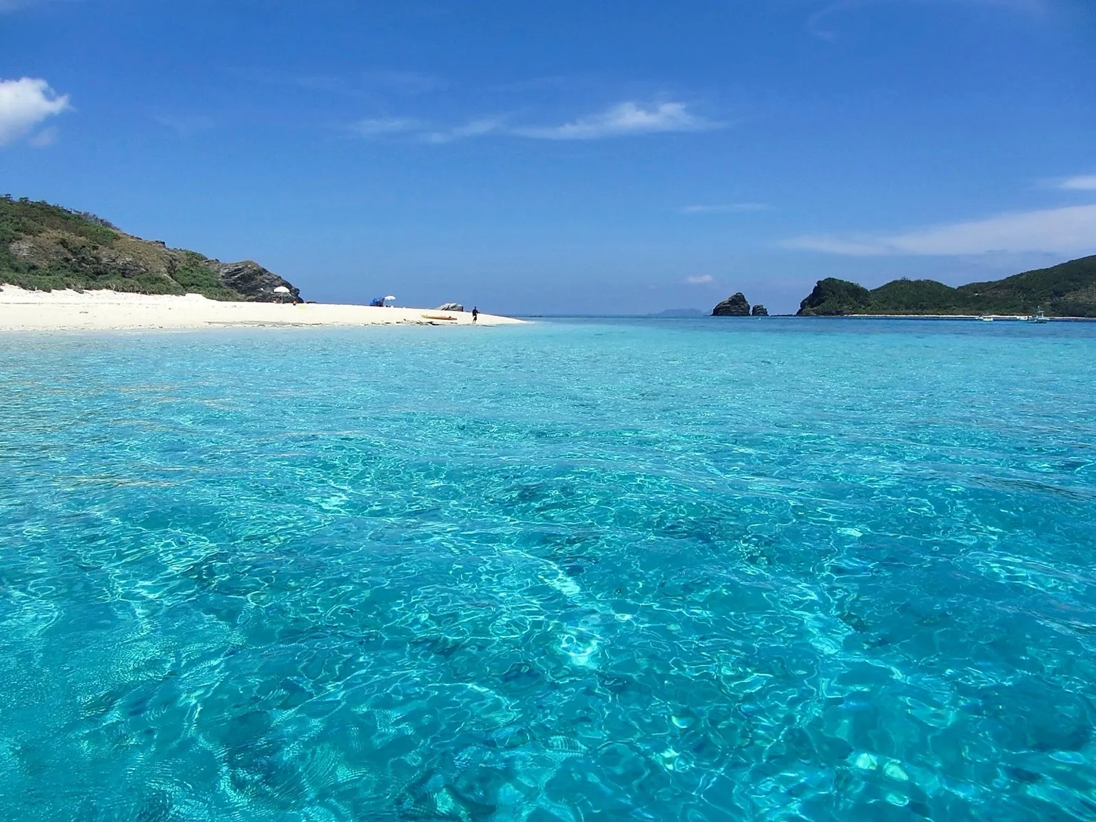慶良間諸島の海を巡るダイビング専用ボート
