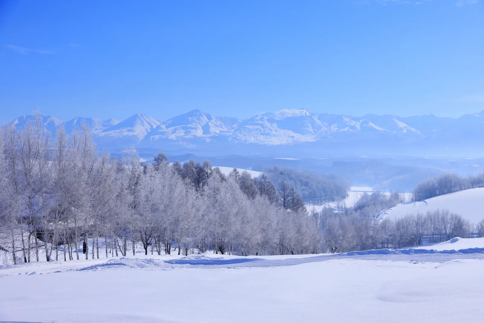 雪に覆われた冬の美瑛・四季彩の丘
