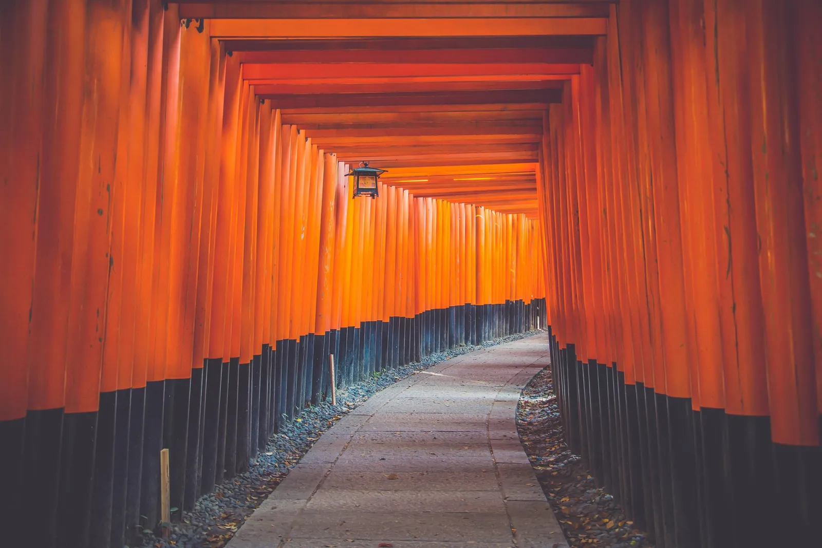 画像の説明