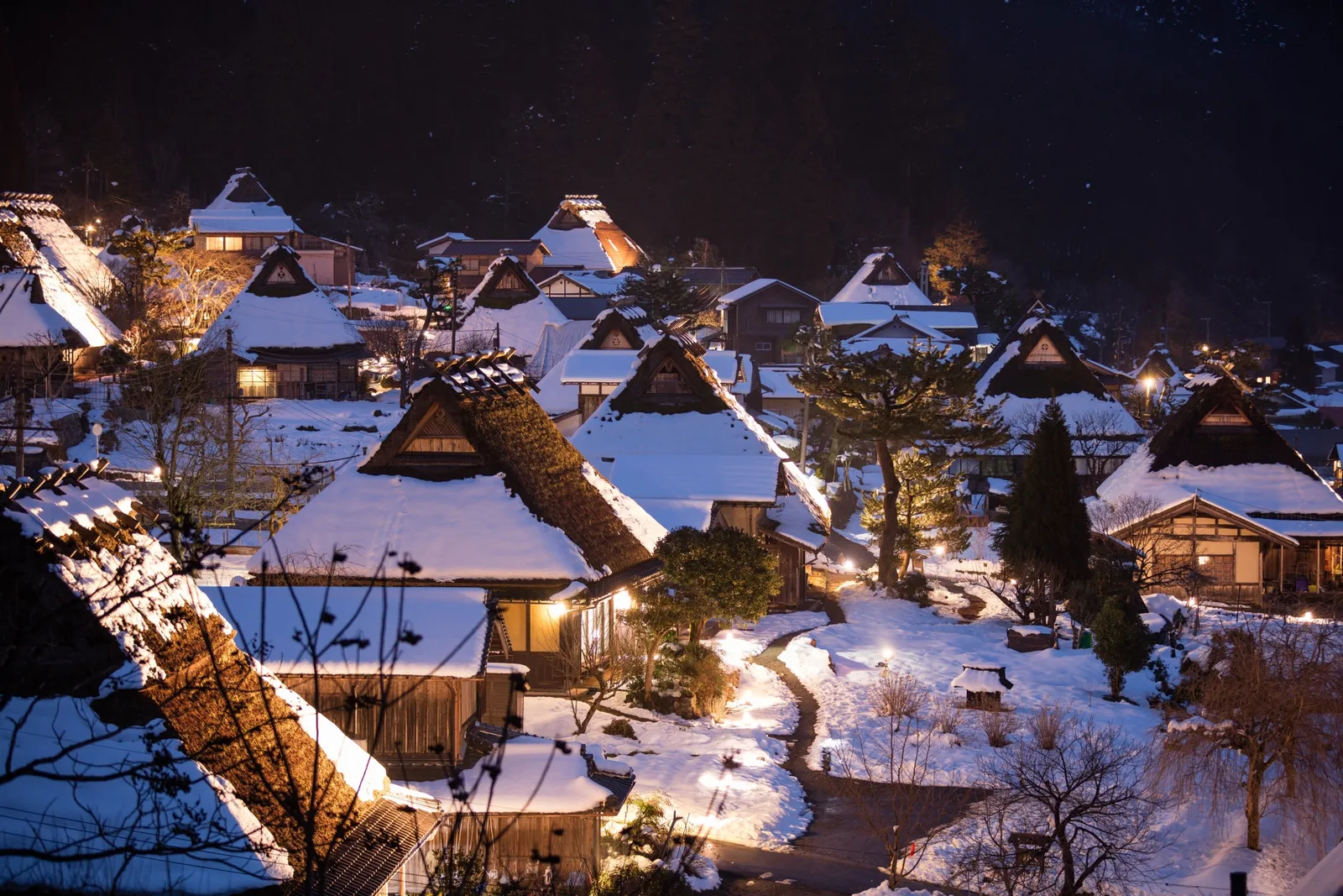 雪を載せた茅葺き屋根が照らされた美山の夜景