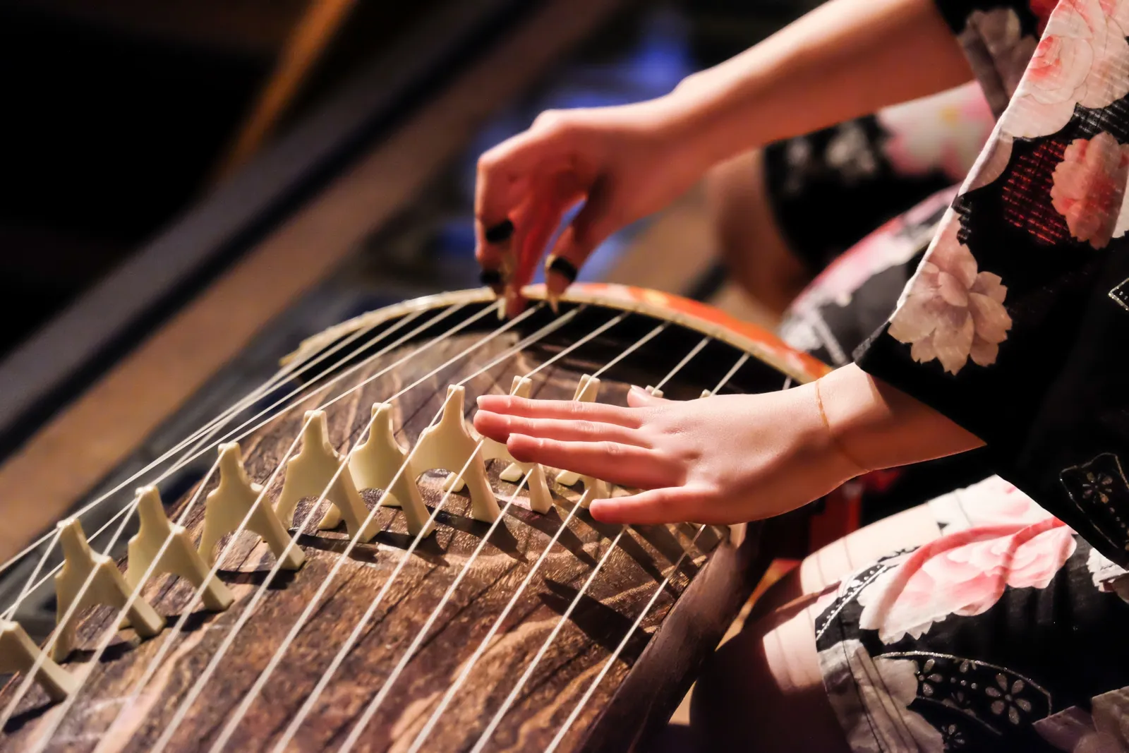 Private Koto Lesson with a Professional Musician in Nagoya