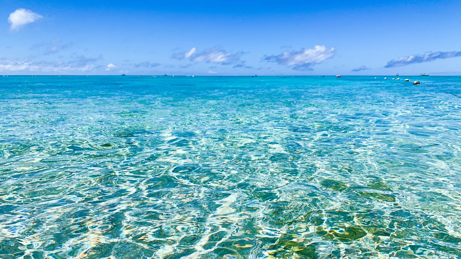 透明なチービシ環礁の海で楽しむシュノーケリング