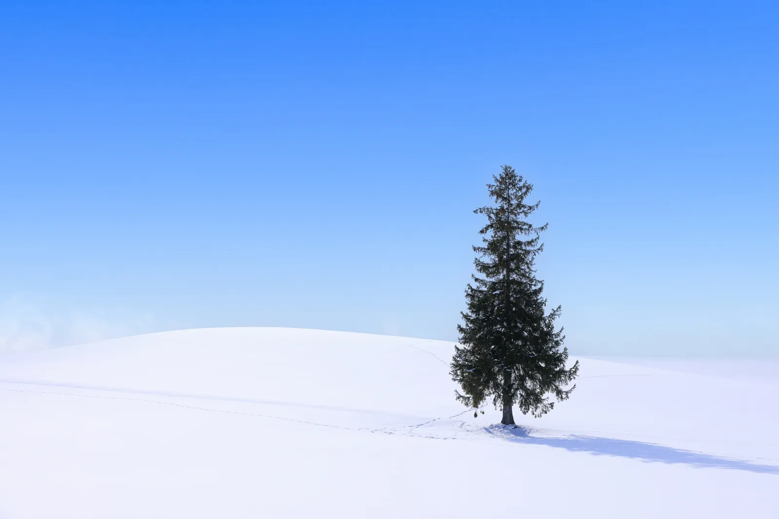 冬の北海道に広がる雪景色
