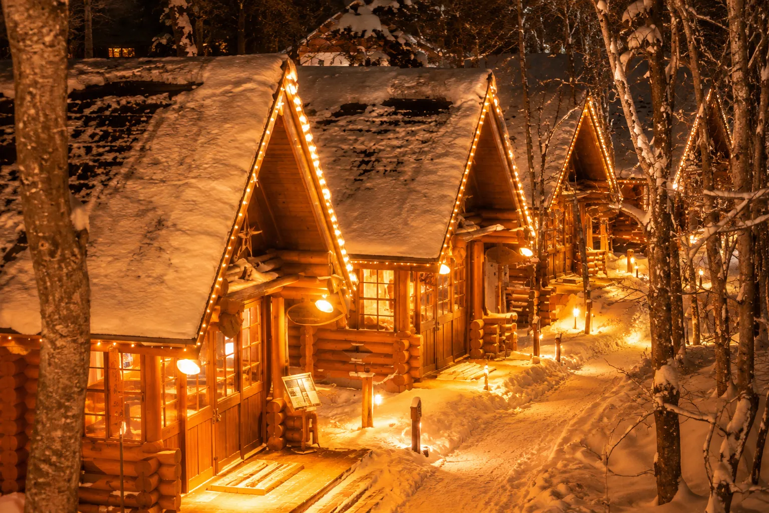 Biei Blue Pond & Fairy Forest Terrace Night Illumination Tour from Sapporo