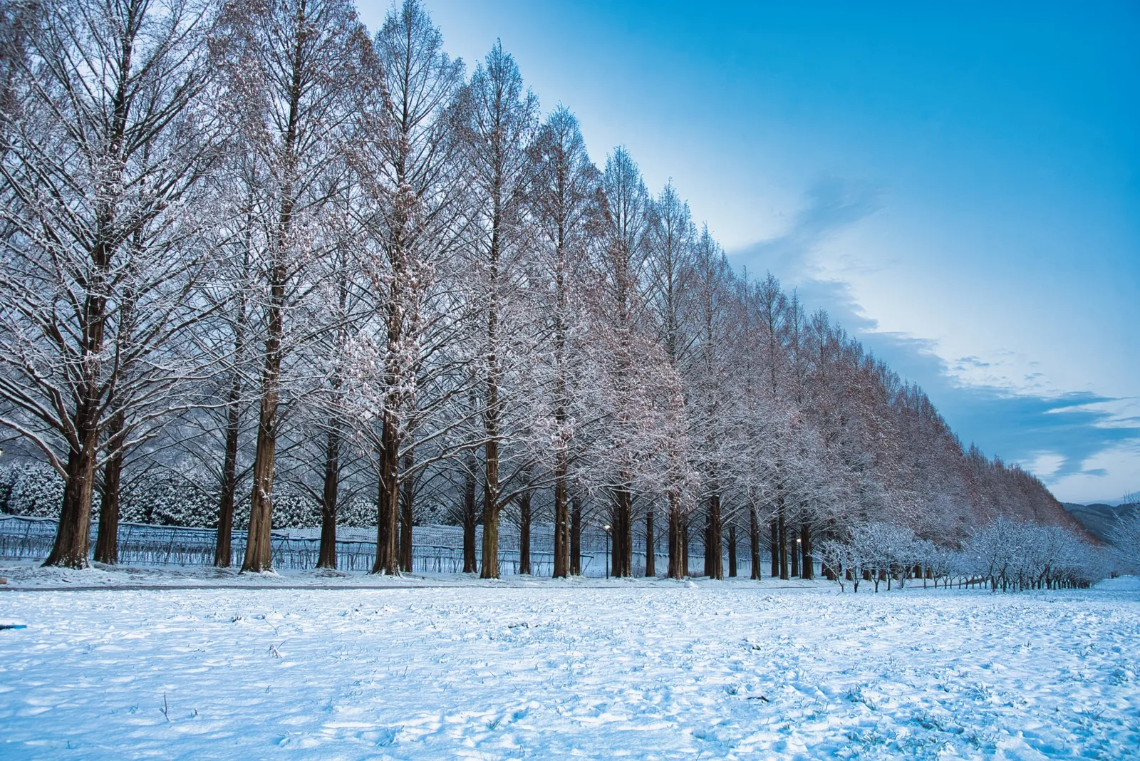 Osaka Day Trip: Winter Snow Play & Onsen Small-Group Tour