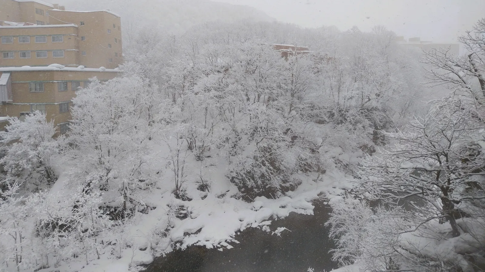 雪をかぶった木々と、川沿いに建つ定山渓の建物