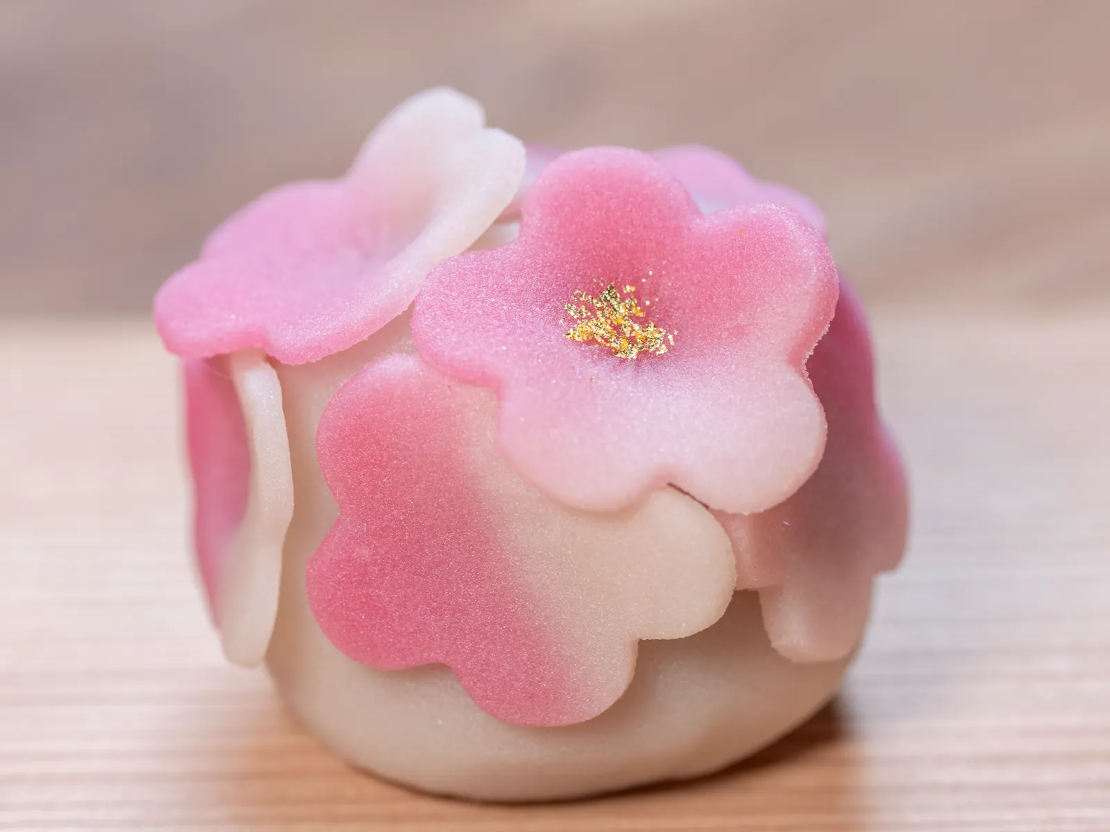 Close-up of a nerikiri wagashi sweet layered with cherry blossom petals