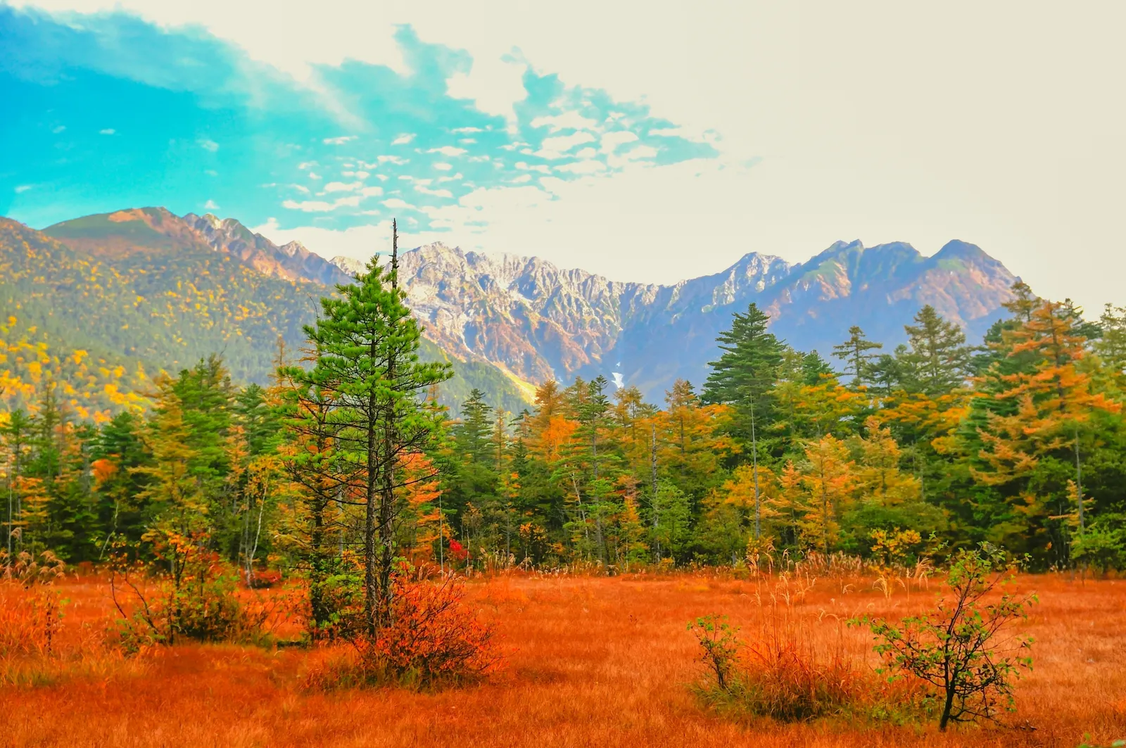 北アルプスの山々と紅葉を楽しむ秋の上高地