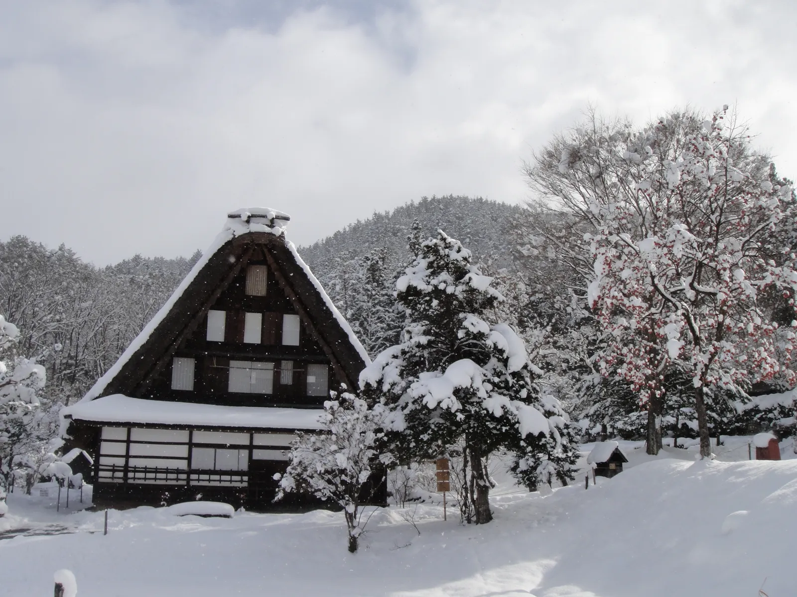 雪をかぶった飛騨の里の合掌造り家屋と木々