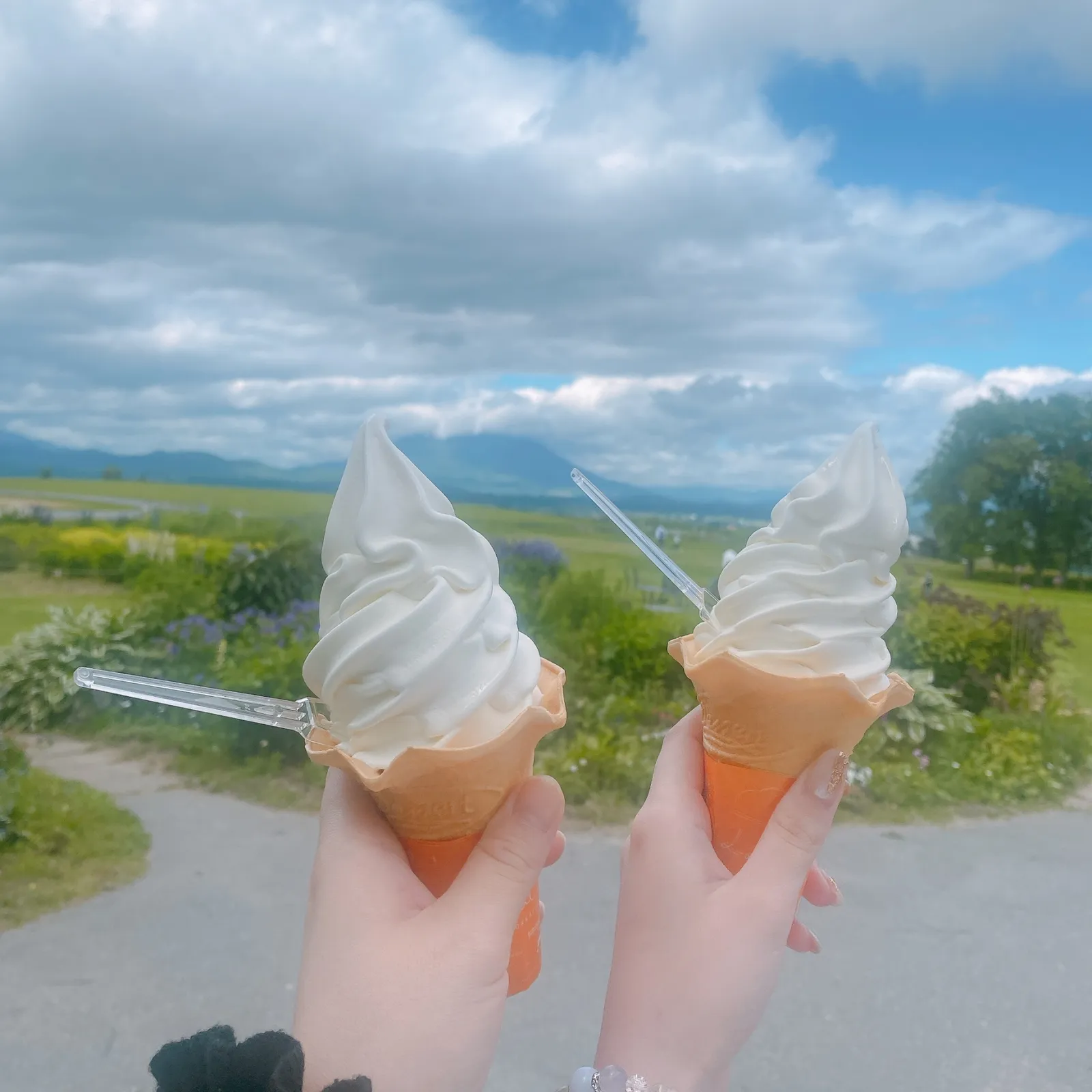 牧草地を背景に手に持った2つのソフトクリーム