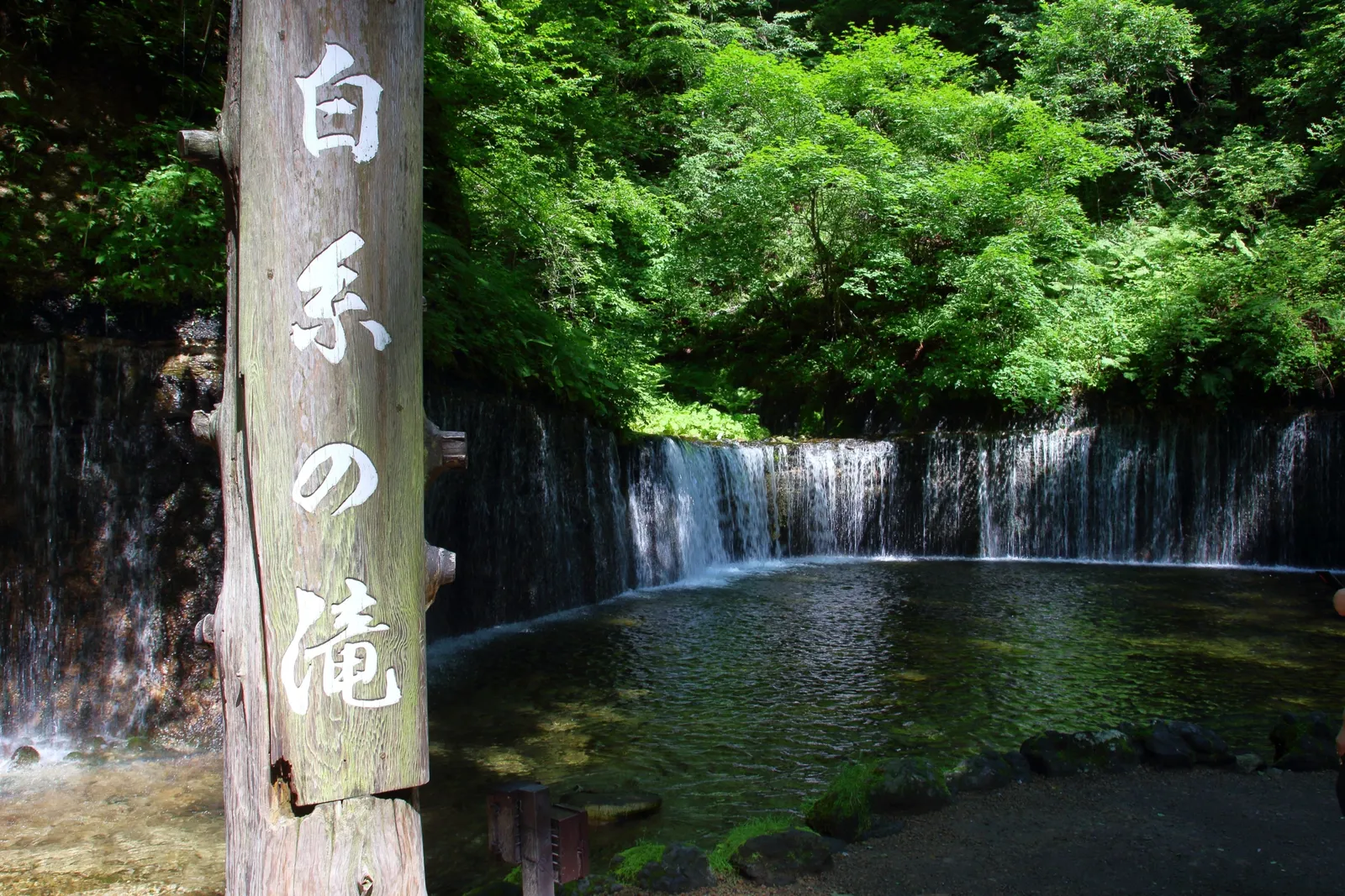 「白糸の滝」と書かれた木製看板と、その奥に広がる滝と森