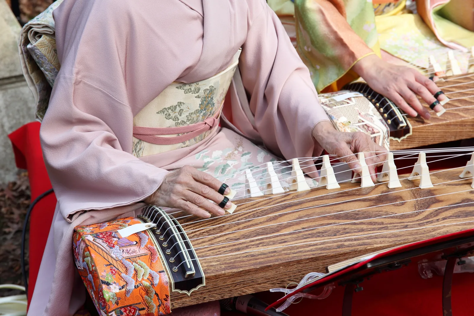 着物姿で並んで箏を演奏する様子