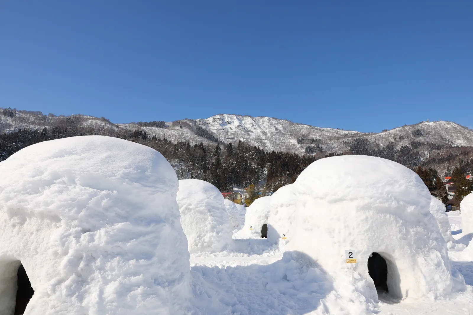 Nagano Winter Day Trip | Zenkoji Temple, Iiyama Kamakura & Nozawaonsen Village (from Nagano)