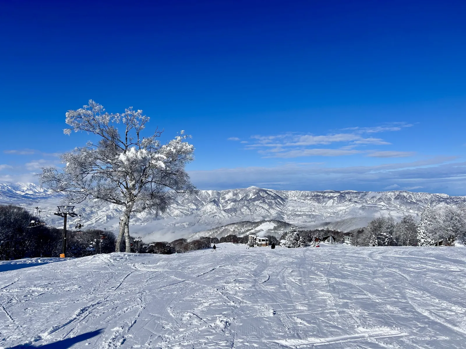青空の下、雪をまとった木と山並みが広がる野沢温泉スキー場の風景