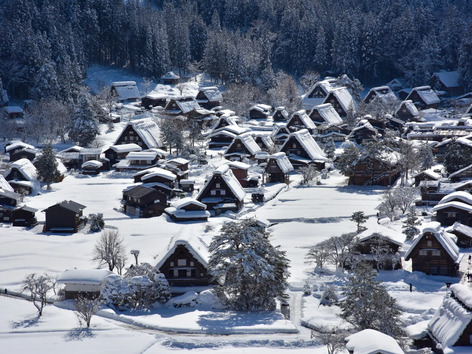 从高处俯瞰被积雪覆盖的白川乡合掌造村落