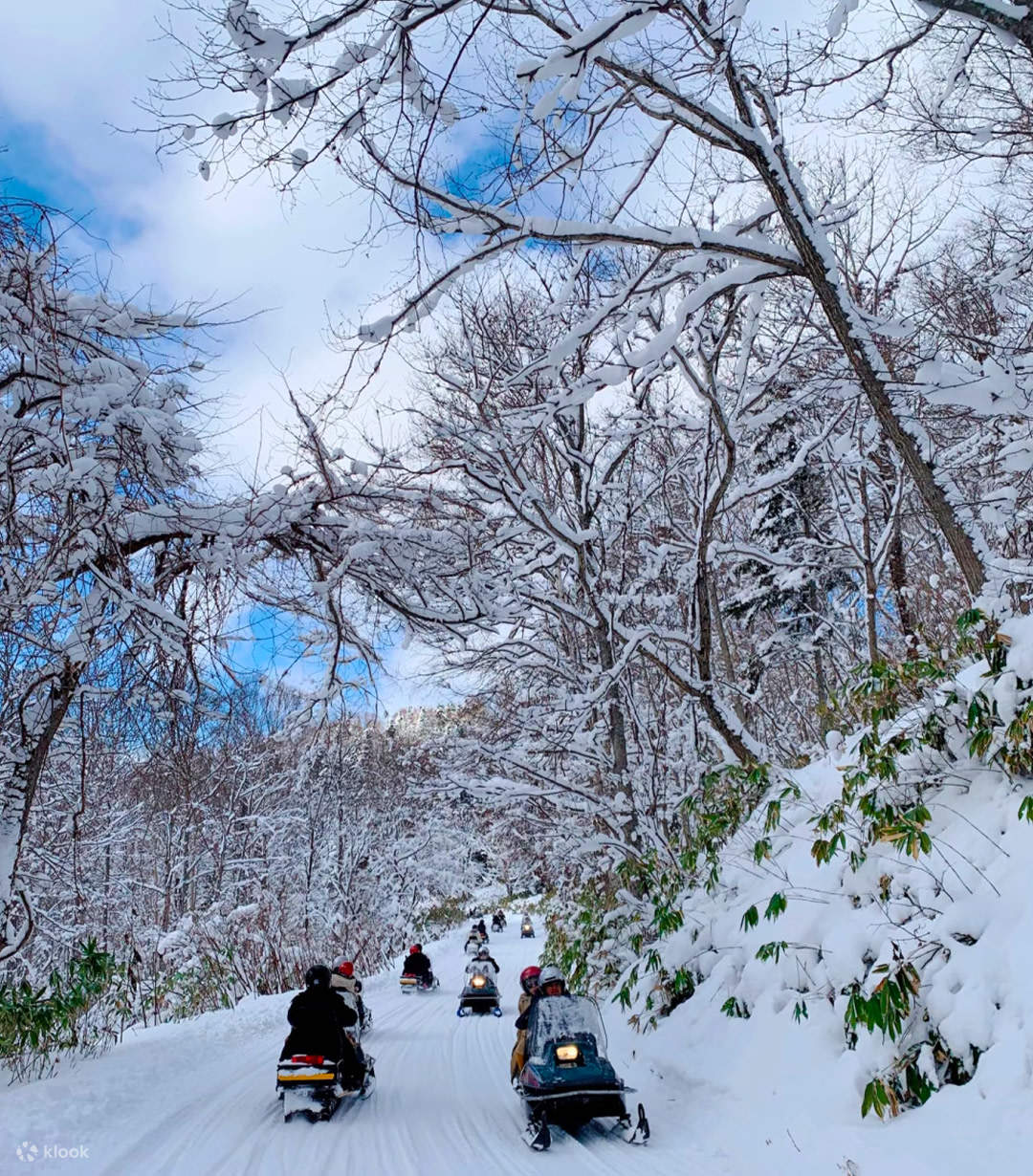 雪をかぶった林道を連なって走るスノーモービルの列