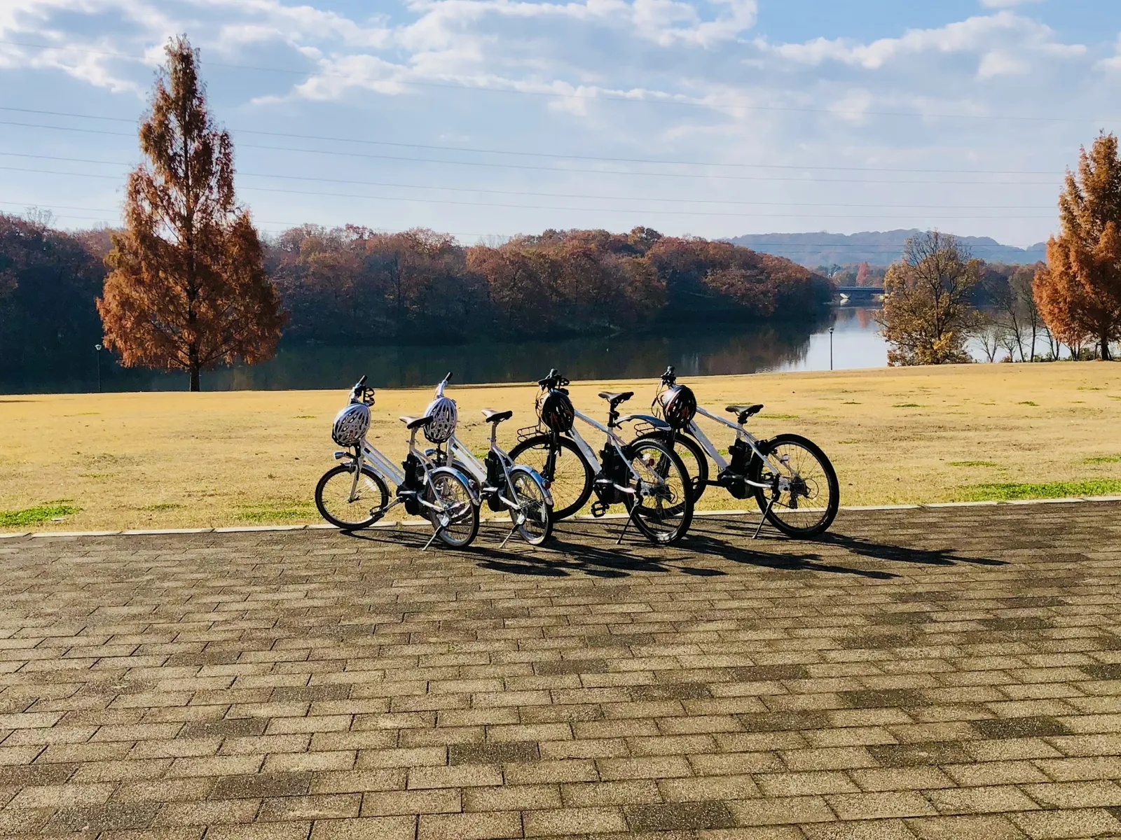 湖畔の芝生のそばに並ぶ自転車
