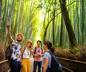 Kyoto Arashiyama Ultimate Tour: Bamboo Grove, Monkey Park, Zen Garden & Hidden Gems