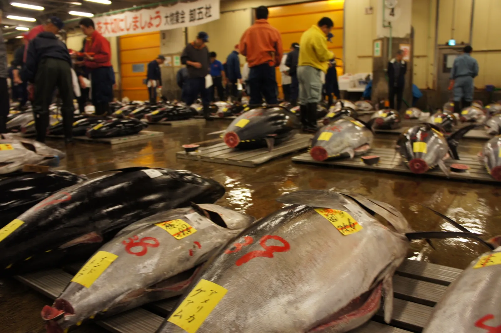 東京：築地魚市場文化ウォーキング＆フードツアー