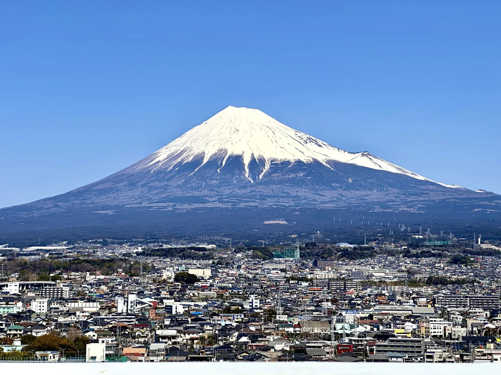 画像の説明
