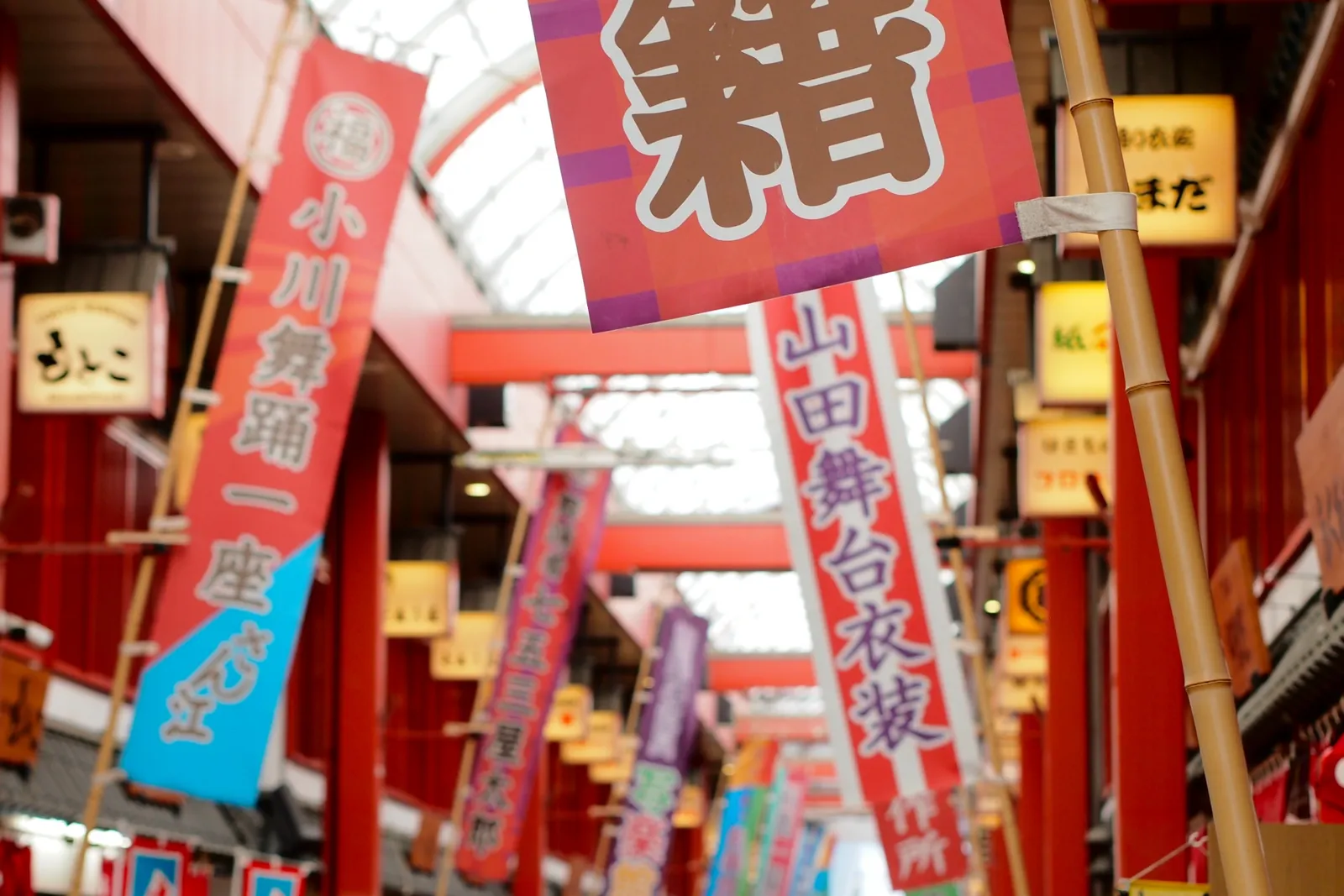 画像の説明