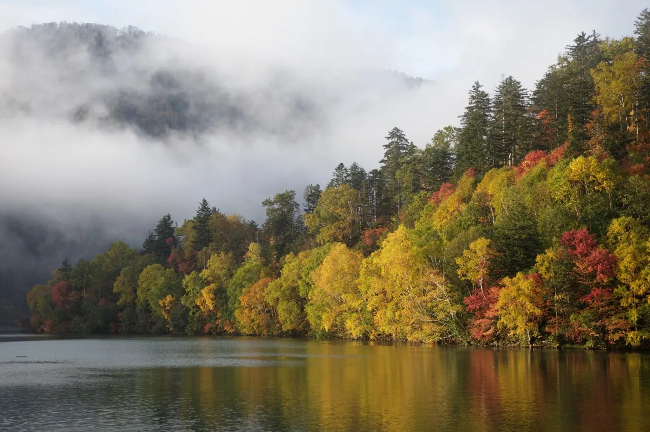 霧のかかる山と湖畔に広がる黄色や赤の紅葉