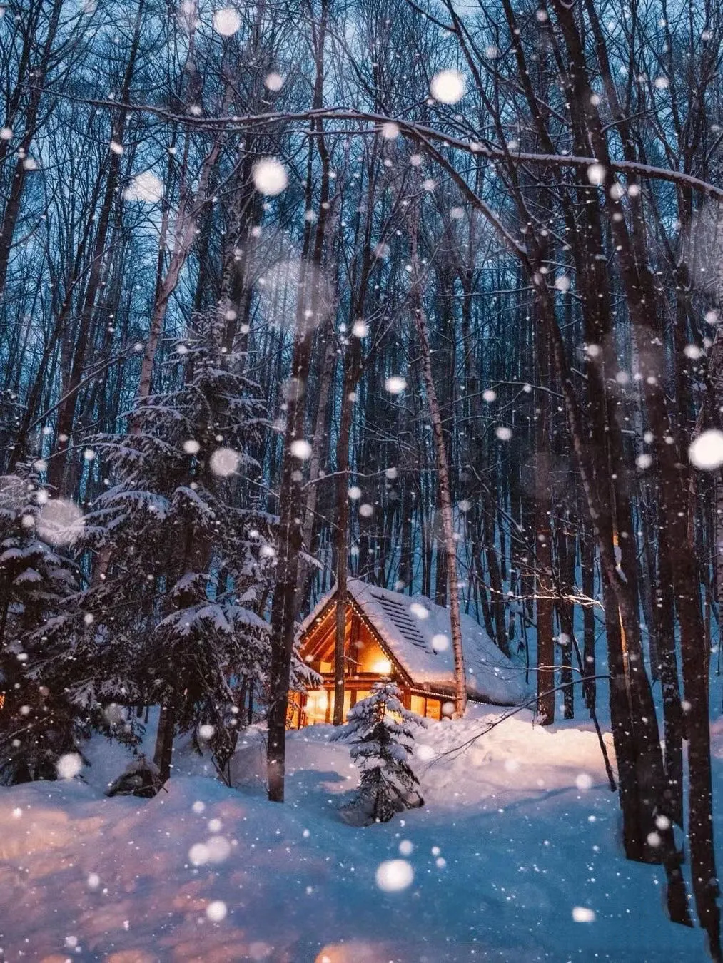 A lit cabin at Ningle Terrace in a forest with falling snow