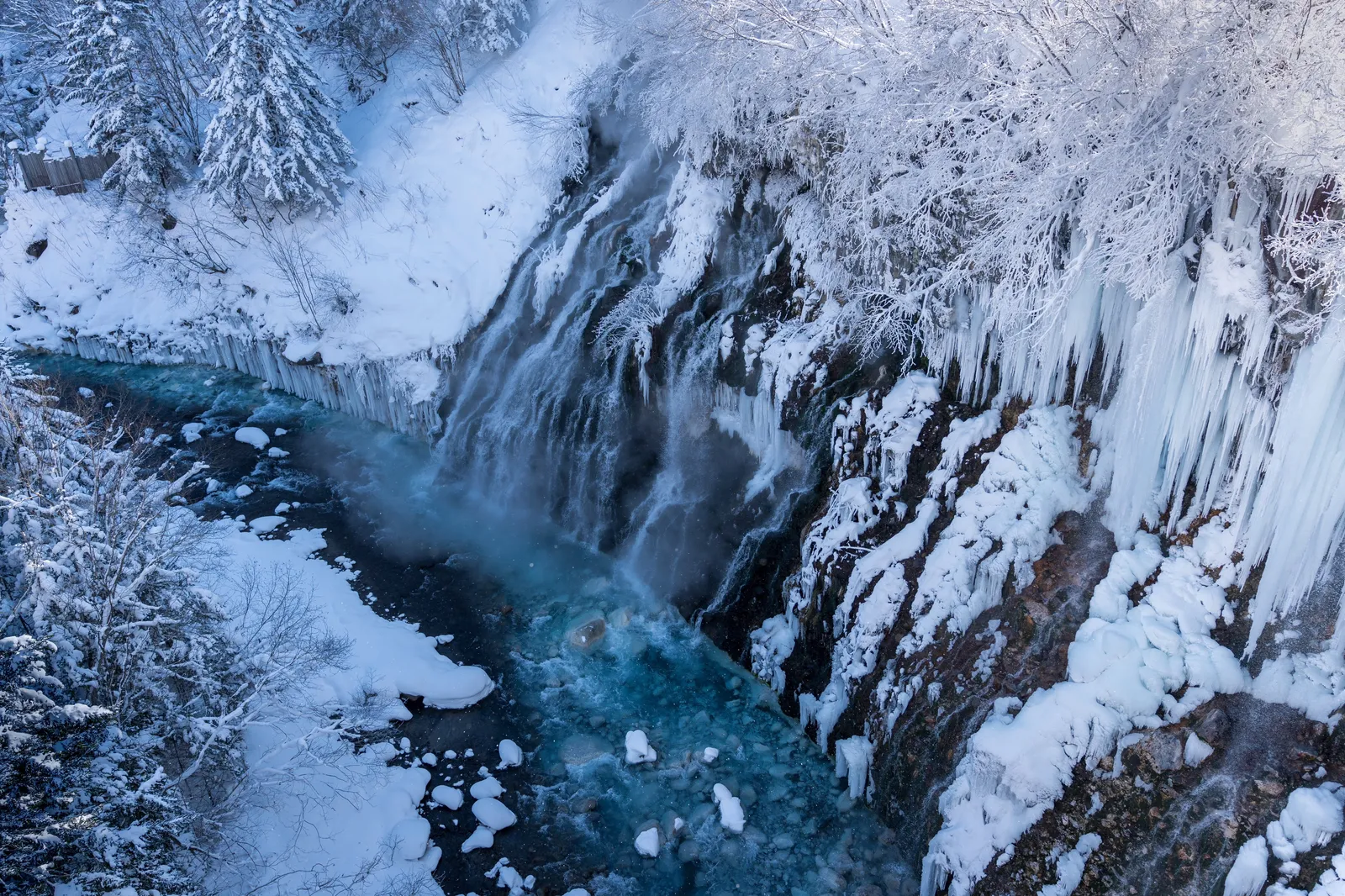 Snow-covered trees and blue water at the Shirogane Blue Pond