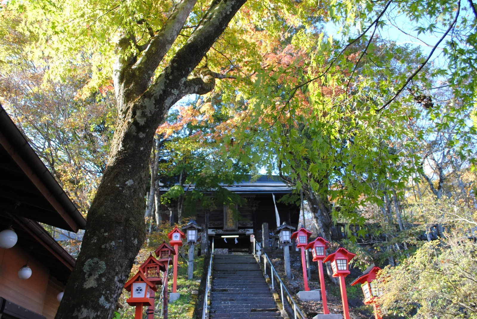 大きな木と赤い灯籠、石段がある熊野皇大神社の境内