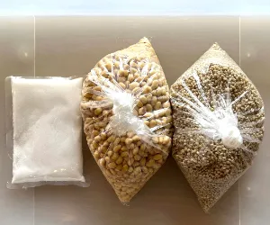 Kagoshima Miso-Making Experience | Learn to Make Barley Miso from a Sakura Kaneyo Artisan in About 1 Hour