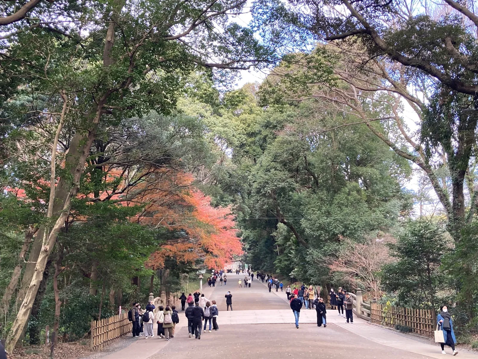 木々に囲まれた広い参道を歩く参拝者たち