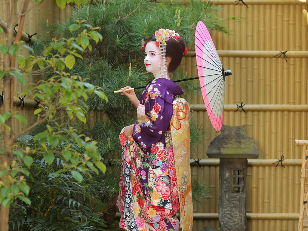 画像の説明