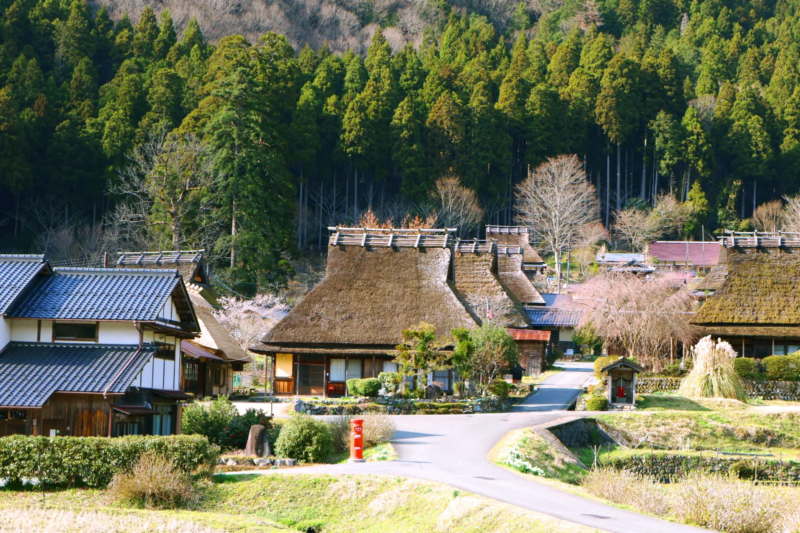 かやぶき屋根の民家が並ぶ美山かやぶきの里