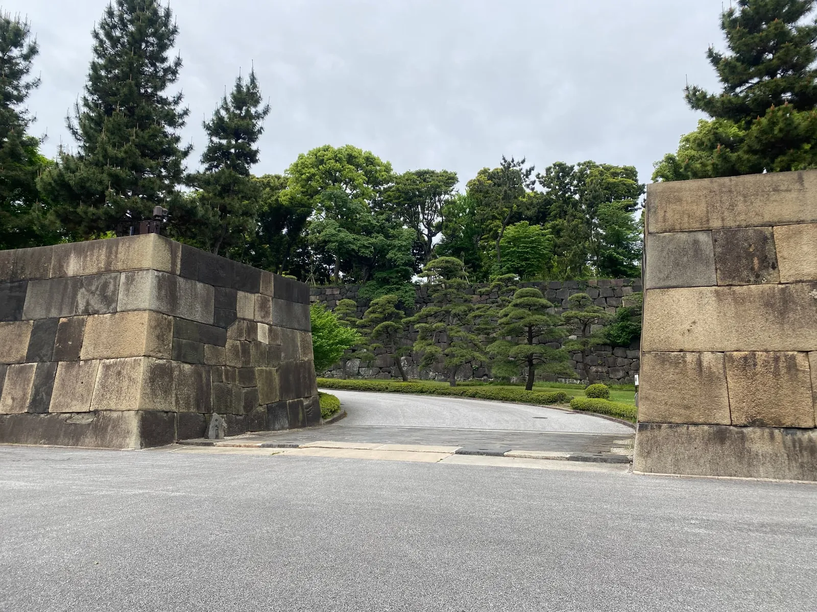 石垣の間に続く緑の小道と松