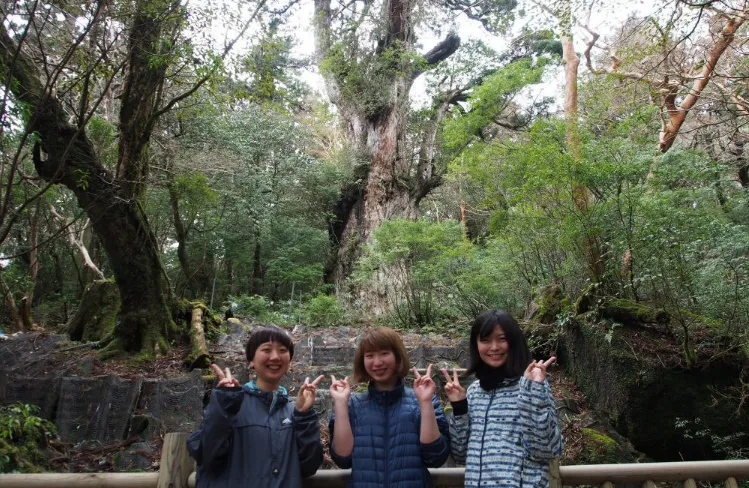 Three participants posing for a photo on a viewing deck in front of a giant cedar
