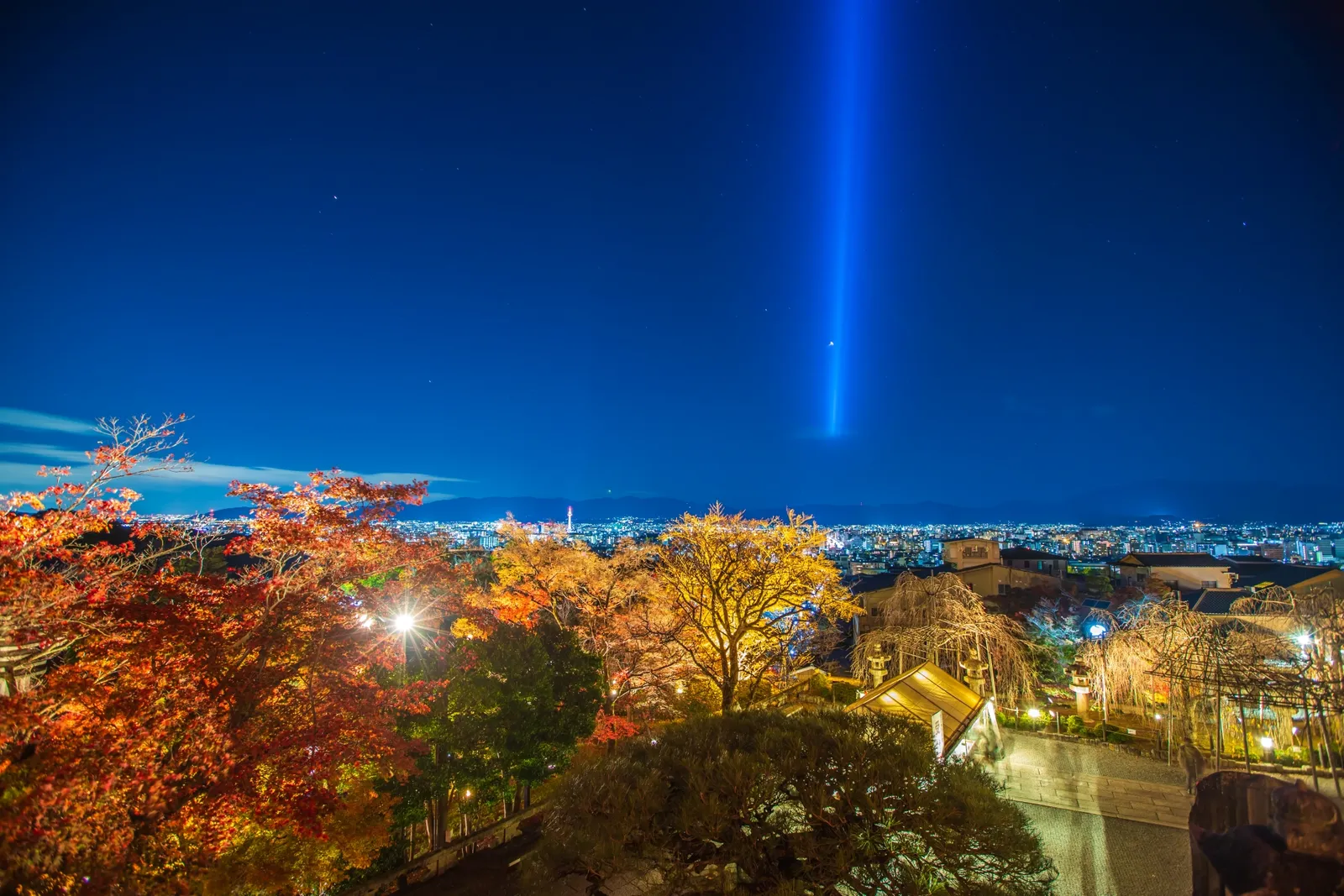 A night view of Kyoto from a high vantage point with illuminated autumn leaves and blue beams of light
