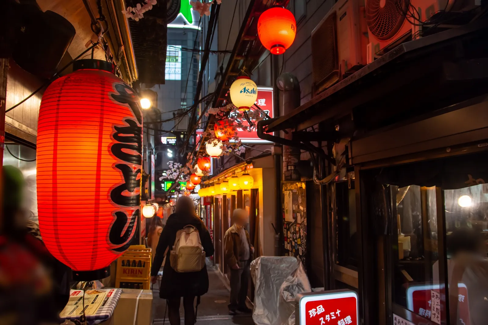 Tokyo Dark Side: Shinjuku Red Light Walking Tour