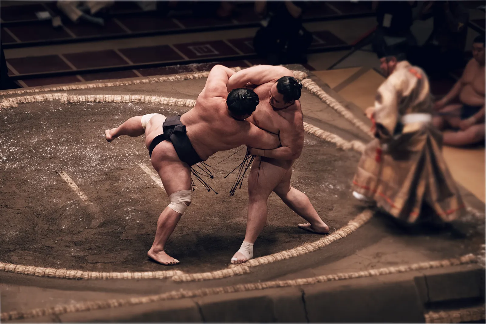 京都相扑观赏体验(含现场表演与观众挑战)