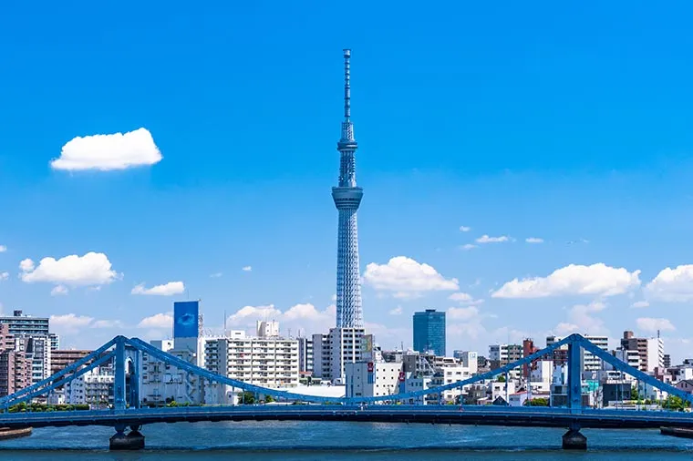 Tokyo Panoramic Full-Day Tour: Meiji Jingu, Asakusa & Tokyo Skytree