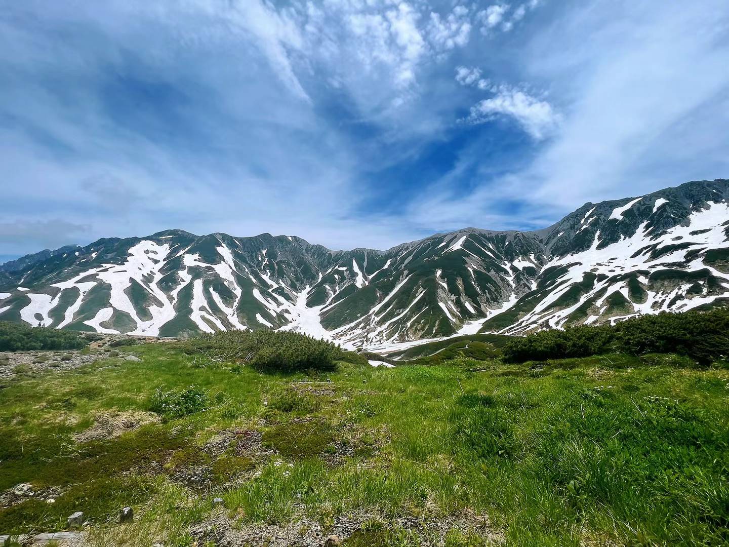 緑の草地の奥に残雪の筋が走る山並み