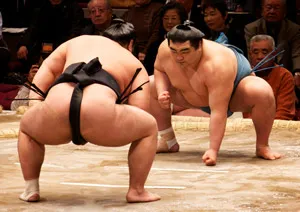 东京・大阪11个相扑体验比较｜表演・晨间训练・土俵体验