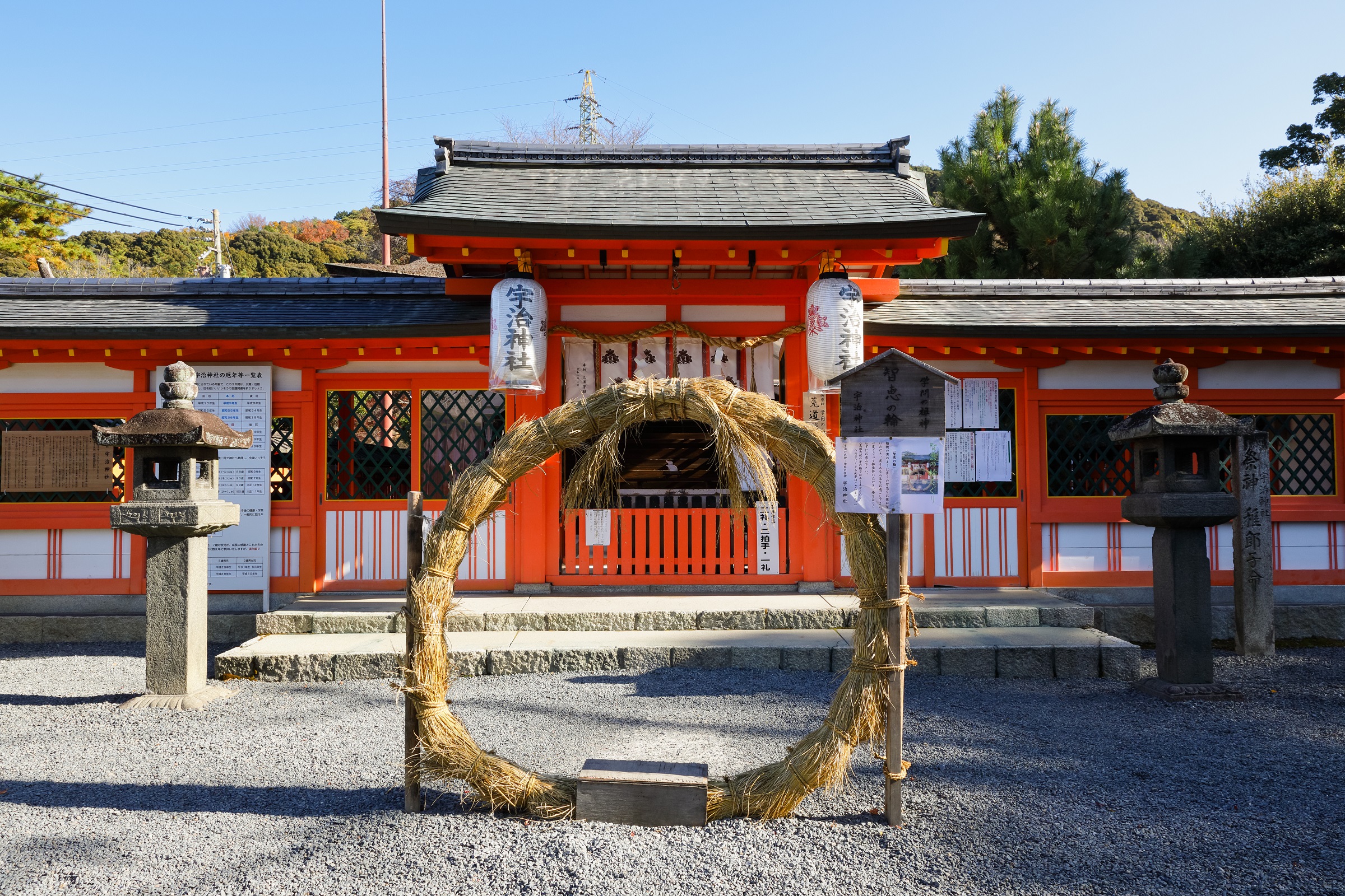 画像の説明
